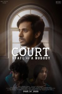 Court – State Vs A Nobody